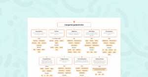 Mapa mental que organiza las categorías gramaticales con definiciones, tipos y ejemplos claros.
